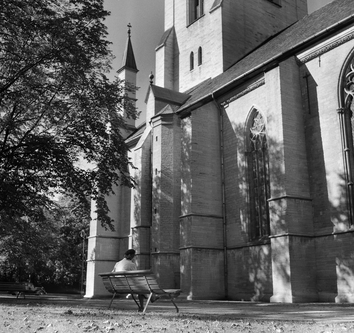 Vår i Domkyrkoparken, 1956.
Pressfotografier från 1950-1960-talet. Samtliga bilder är tagna i Östergötland, de flesta i Linköping.