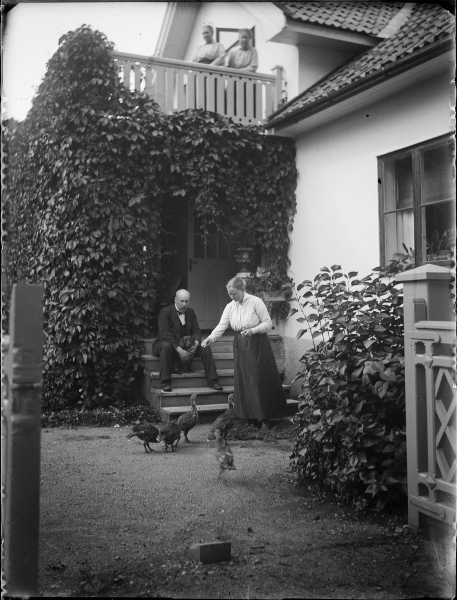 Ulla Enlund matar fåglar vid hemmet i Gimo, Uppland 1923