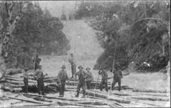 Tømmerfløting ved Storbrandfoss langs Hørja, ca 1915.