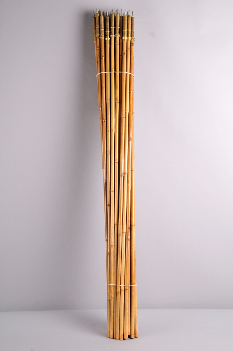 Skistavar i bambus Enden er spiss og i messing.