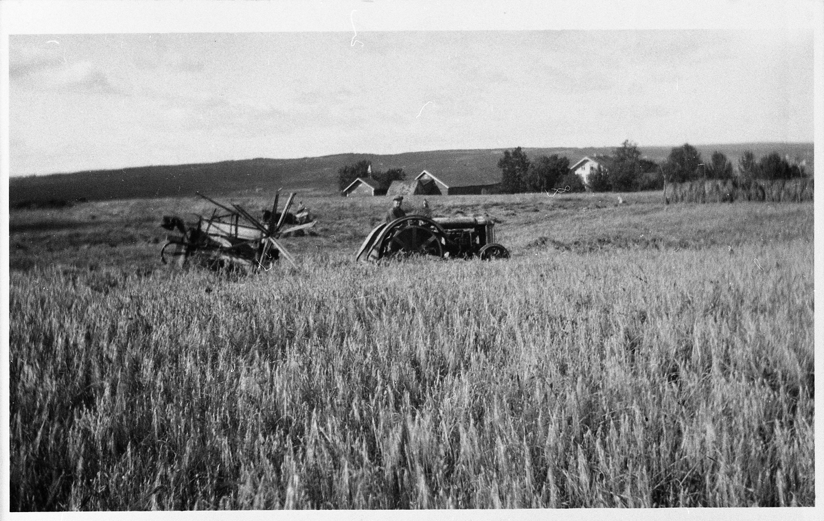 Skuronn. Det skjæres havre med selvbinder trukket av traktor på Gran gård i Kolbu året 1934. I bakgrunnen husa på gården.