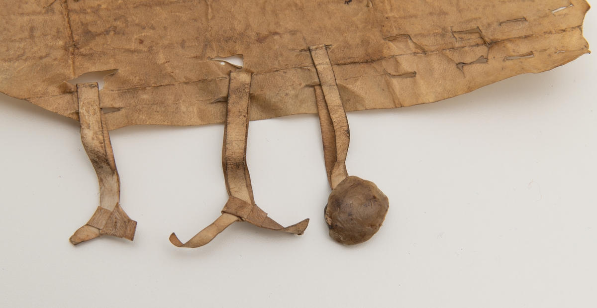 Skinnbrev fra 11. november 1559 om salg av odelsløsningsrett for Vestre Løken, Elverum.
 
Tekst: 
Kienndis ieg gudmund Nielszønn wdj Stannge sogenn paa Hiedmarchenn, oc giør witterLiigt for alle med dette mytt obnne breff, att iegh nu med mynn frie villie och beraadt hou, disliigeste oc saa med myn kiere østruis, Barnns, oc alle mynne medarffuingis raadt villie oc samtycke, haffuer soldt, skiøddet, oc affhenndt, oc nu med thette mit obnne breff Selger, skiøder oc affhennder fraa meg oc alle mynne medarffuinge somm nu er, och her epther komme kanndt fød och wfødt alle thenn rettigheidt, oc odals løszning somm meg oc mynne medarffuinge kannd tiilkomme wdj thenn huduerdt Jordt, y vestre løchenn, liigg[en]dis wdj herredt y Eluerims sognn y østerdallenn, oc tiill mynne frennder, peder frederiickszønn, som nu boenndis er paa fornne Lochenn, hanns soskenndt, oc alle hanns me[d] arffuinge som nu er oc her epther komme kanndt tiill eue[r]deliig eydomm innthet vndertagenndis y nogre made, Som mynn fader Niels gudmundszønn, Hues siell gud noode) tiillf[or]nne med sin Moders, oc Brødres villie oc samtycke haffuer sold och affhenndt fraa siig oc sinne arffuinge, oc tiill sinn m[o]der søster Aasze løchenn oc henndes medarffuinge epther hanns Breffz Liudelsze hannd thenomm ther paa giffuet haffuer, Oc haffue fornne peder, oc hanns medarffuinge nu paa nye giffuedt meg oc myne arffuinge tiill enn tryg stadfestning och odals løszning thue gode kiør, og fire lodt sølff Saa wy tacke denomm gott wjd alle maade, Thj Beplichter ieg meg med mynne arffuinge som nu er oc her epther komme kanndt att frie hiemele, oc tiillstannde hanomm oc hans medarffuinge fornne huduerd Jordt, med alle Luthum               och Lundum inndenn gierdis oc Wdenn fiske wanndt, fægang, Quernestødt, weystedt, oc anndrehin[ndis] retthe tiillhøring for huer mandther med rette kannd paa tale    Tiill ytthermere widnisbyrdt, att saa wjd alle puncter och articler ubrødeliig holdes skall somm forschreffuet star, kierliigen tiilbeder ieg disze dannemendt guner Banerud Kong:  Mats. lensmandt, Jffuer ottarszen paa skiuestad, Karll [...] guner herstadt, østenn grøtting oluff schulstad, oc Jouenn hoffuinn thette m[it] obnnebreff for mig att besegle somm schreffuet vor paa løchenn andenn løffuer dag epther Martinj anno 1559.