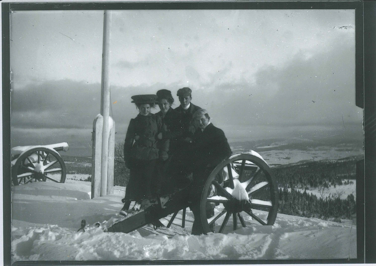 To unge kvinner og to unge menn i vinterklær står i snøen på utsiktspunkt med kanonlavetter. Skog- og jordbrukslandskap i bakgrunnen.