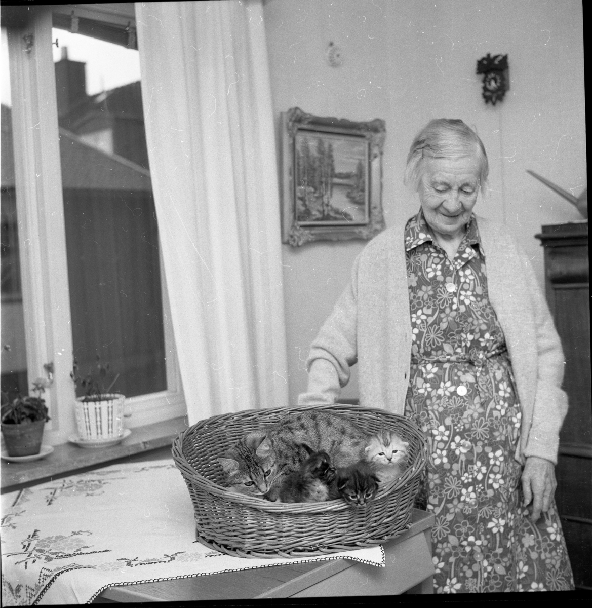 En äldre kvinna står vid ett bord med en flätad korg med kattungar.