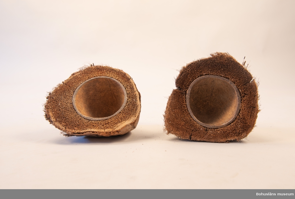 Itusågad kokosnöt; i två ungefär lika stora delar. Frukt från kokospalmen, Cocos nucifera. Föremålet består av det yttre fiberskiktet med ett inre hårt skal. Snittet är mycket skickligt gjort.

Påklistrad pappersetikett med text: Kokos Nöt af Fru Hedberg. Etikett på båda delarna, men en av dem är mycket skadad. Samma del är lite kortare, ca 11 cm.

I tryckt redogörelse för verksamheten för "Museum för Bohus Län 1861" står under alfabetisk förteckning över föreningens medlemmars bidrag och gåvor: Hedberg, J., Fru, Uddevalla: 2 fossila tänder, 2 hval-fenor, 2 pingvin-skinn, 2 koraller, en kokosnöt, en ödla, en skorpion, mynt m.m.