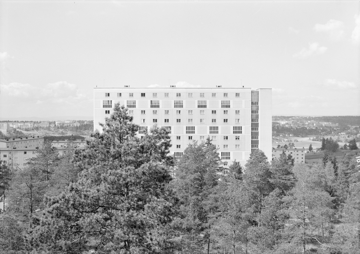 Lav- og høyblokker på Bøler i Oslo.