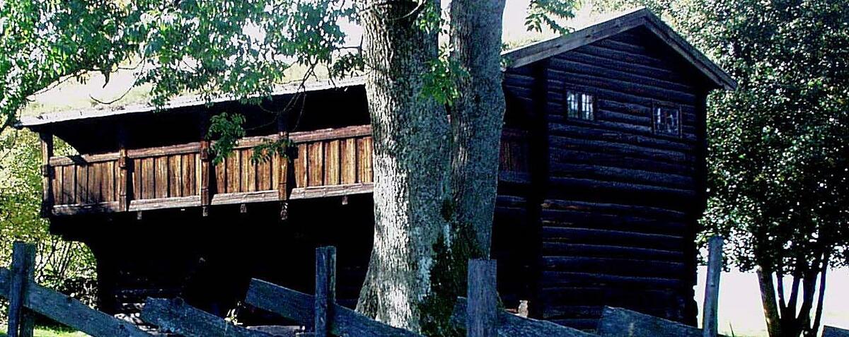 Bildet viser en brun laftet hytte med et tre i forgrunn. (Foto/Photo)