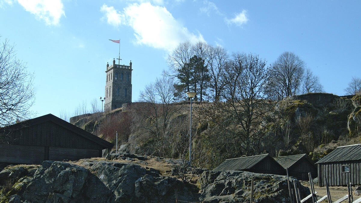 Bildet viser Slottsfjellet og tårnet. (Foto/Photo)