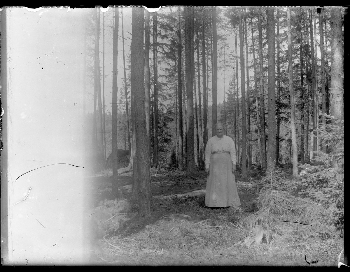 Porträtt, Sara Wretström i skogen.