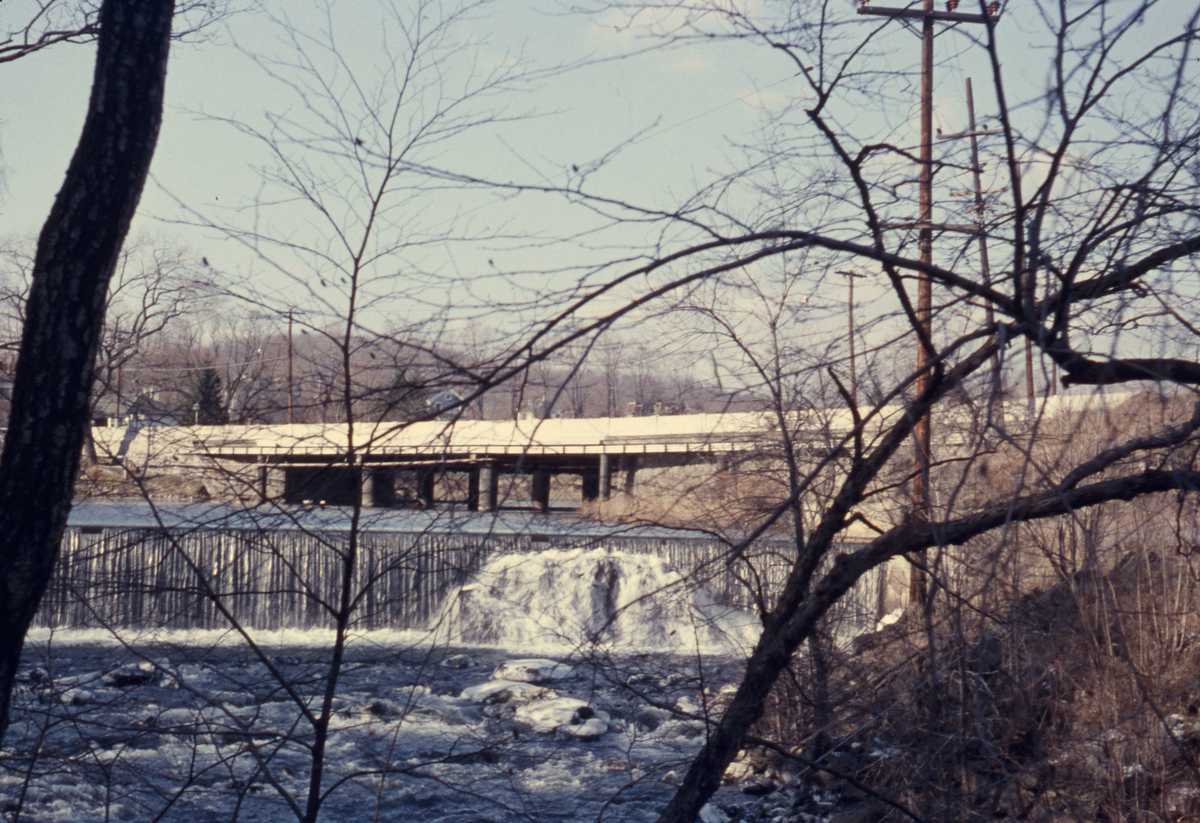 Bro og dam vann over dammen