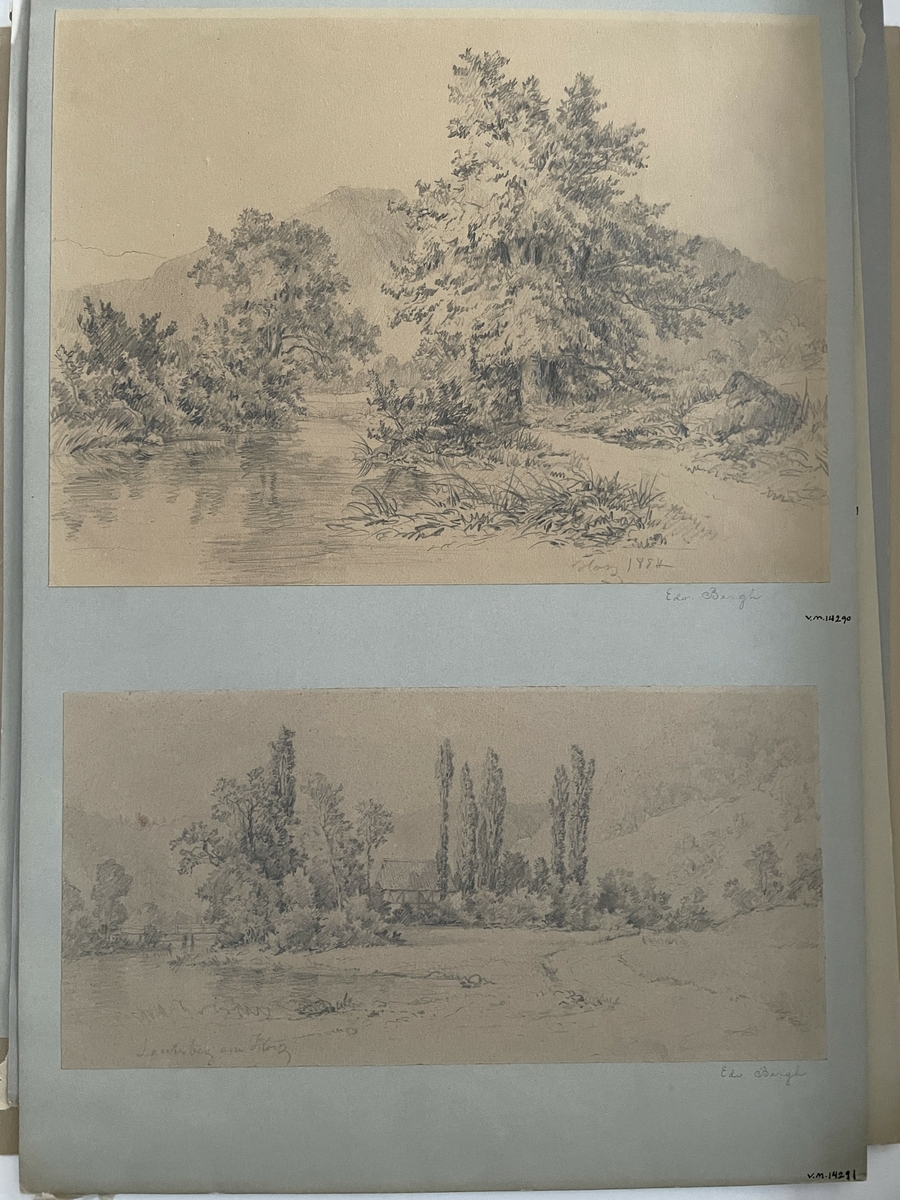 Följande är hämtat från Värmlands Museums accessionsliggare: "Landskapsmotiv, i förgrunden vatten med grässtrand, i mitten ett stort träd och ett mindre samt buskar och gräs. I bakgrunden ett högt kalt träd."