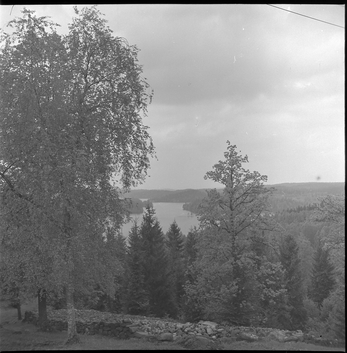Vy från Ödenäs mot sjön Ömmern. 21 maj 1950