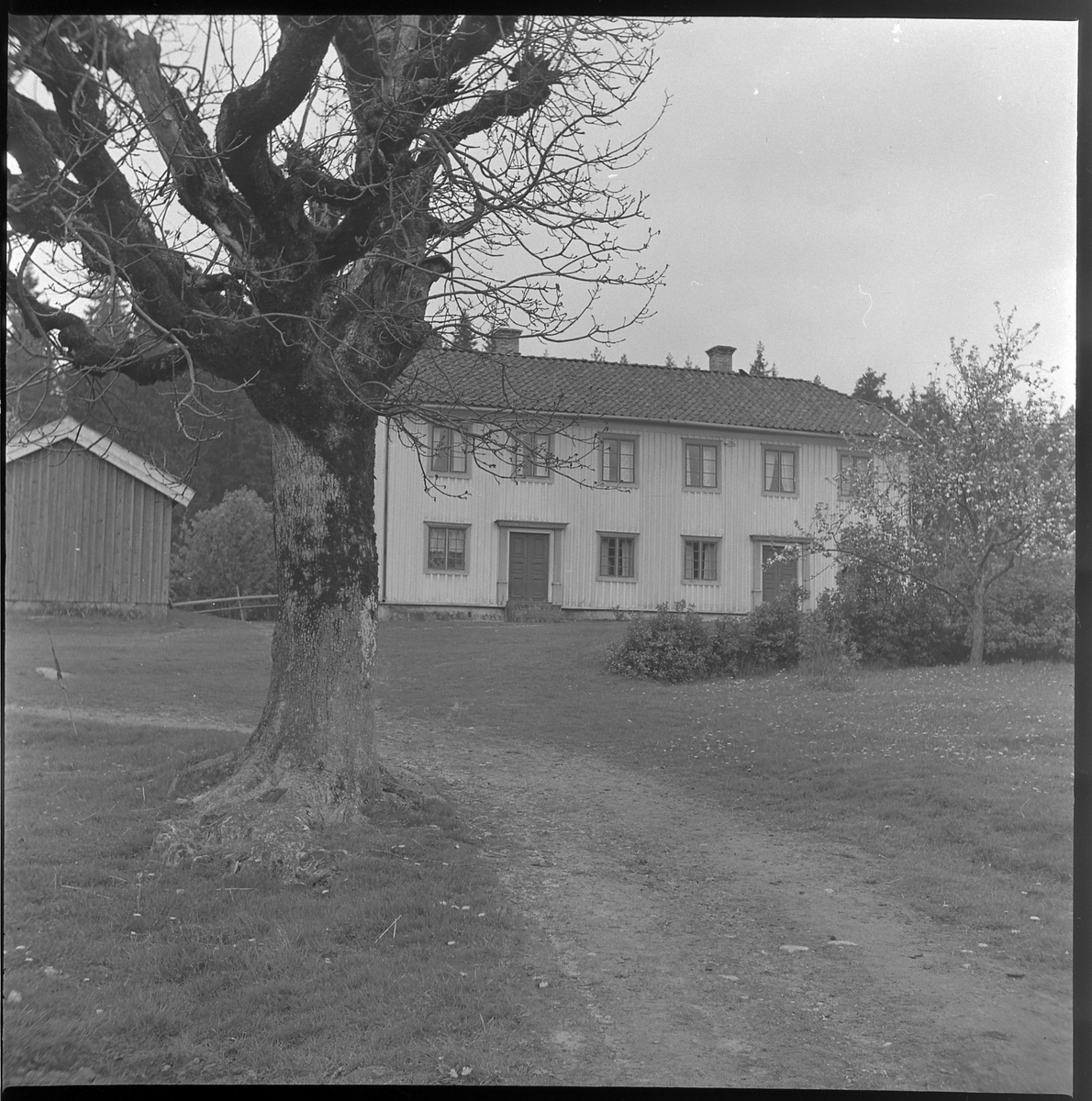 Läkarebo, Ödenäs sn. 21 maj 1950