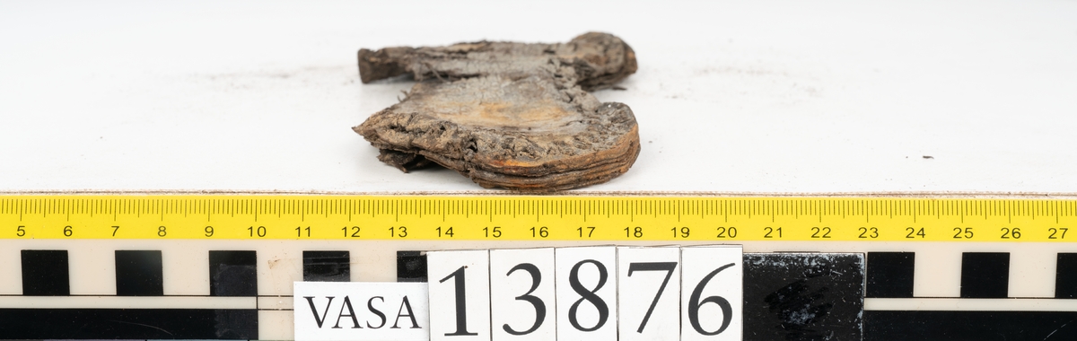 Delar och fragment av sko: en fragmentarisk botten, en sula, fragment av sulor och klackparti samt större, tunna bitar som troligtvis utgjort ovanlädret. På lädret syns utfällningar.
Totalt ett 30-tal fragment samt lite växtfiber.
