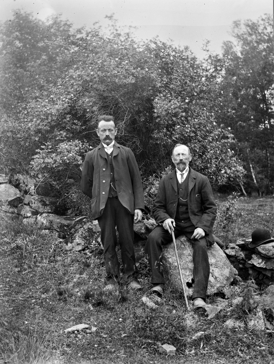 Två mustaschprydda män vid en stengärdsgård intill en stor rosenbuske (ev Rosa glauca). En man sitter och har en käpp. Intill honom ligger en kubb på stenarna.