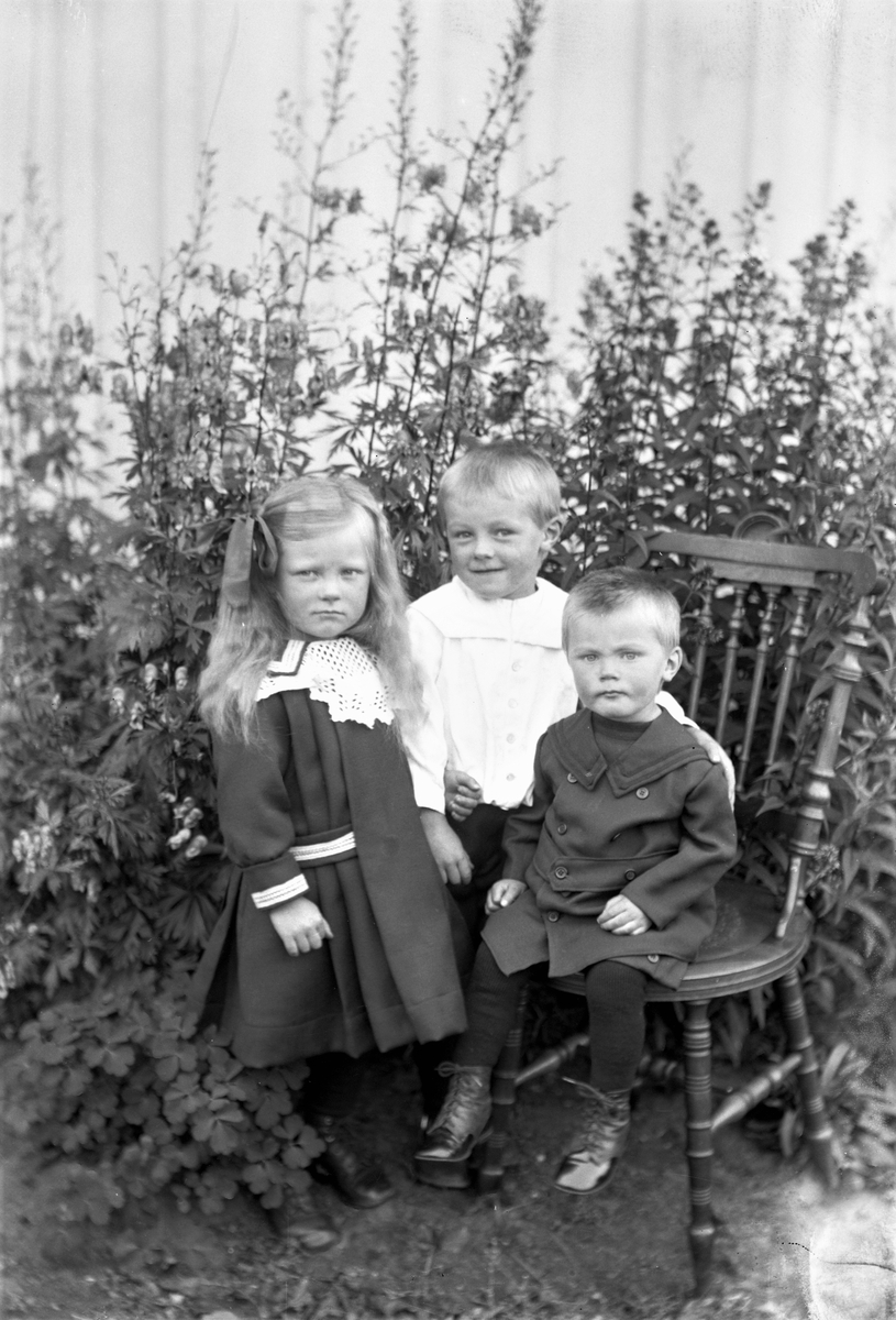Tre finklädda små barn, Dagmar, Lennart och Sten, samlade vid en blomsterrabatt. Minstingen sitter på en svarvad pinnstol och i rabatten växer stormhattar, phlox och aklejor bland annat. Stensered, Drängsered.
(Se även bildnr HB52, HB53)
