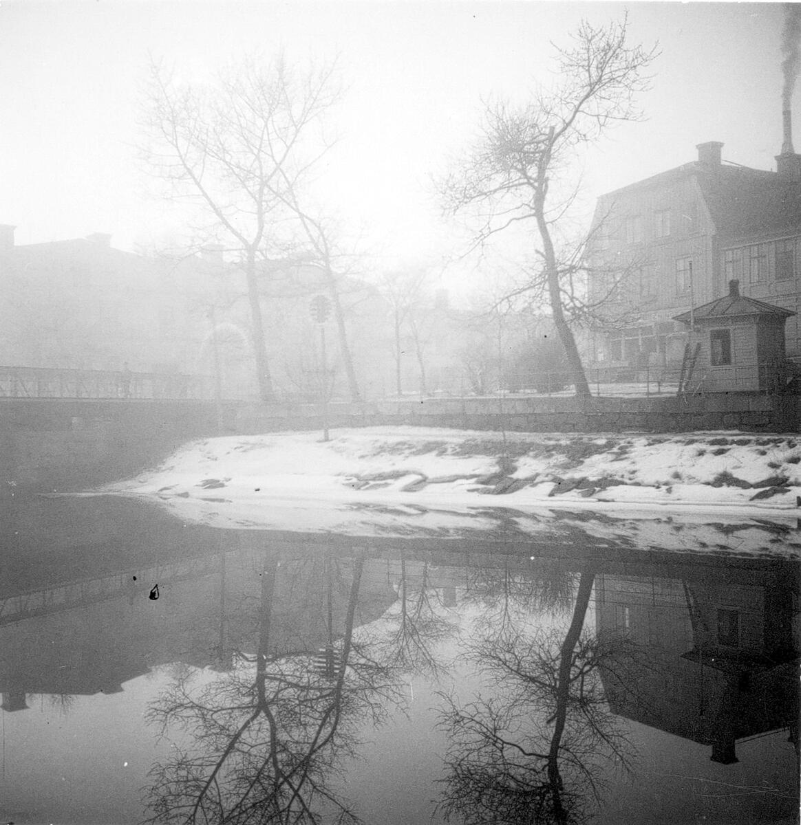 Vinterbild. - Västernorrlands museum / DigitaltMuseum