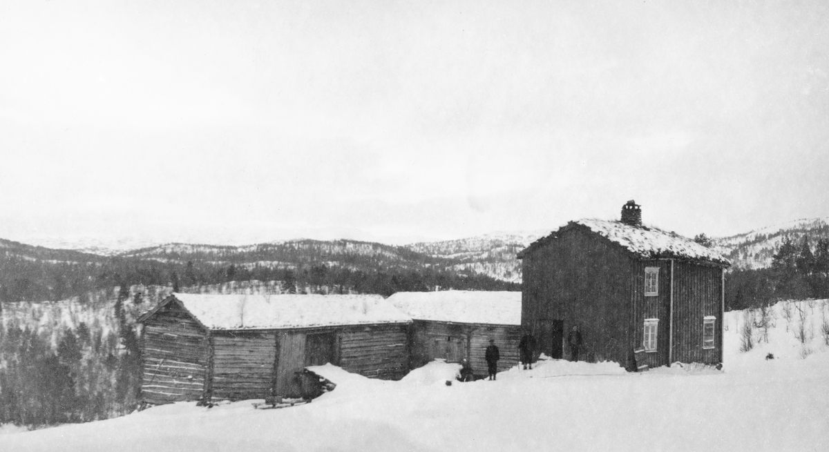 Gardstunet på Blomlia i daværende Meldal kommune i Sør-Trøndelag.  Fotografiet er tatt fra et snødekt jorde mot bygningene.  Tunet har et toetasjes våningshus, som var bordkledd på den sida som vendte mot fotografen.  Dette huset har seinempirevinduer - antakelig fra andre halvdel av 1800-tallet - i første etasje, og noe eldre klassistiske vinduer i annen etasje.  Taket var tortekt, og den ene skorsteinspipa i bygningen var gråsteinsmurt, også over den torvtekte takflata. Uthusbygningene i skråningen nedenfor våningshuset er begge laftekonstruksjoner uten bordkledning. Det ene av dem er reist på høye trestolper.  Bygningene er plassert slik i forhold til hverandre at tunrommet fikk et firkantet eller rektangulært preg. 

Bebyggelsen har vært sammenliknet med Litjbuan, som står på Sverresborg Folkemuserum i Trondheim. Man antar at førsteetasjen kan være fra1600- eller 1700-tallet. Her er det dekormaling - ranker med barokkpreg - i taket. 2. etasje kan være påbygd seinere. Løa fra Blomlia er flyttet til Ofstadsetra.

Blomlia er den innerste eiendommen i Dørdalen, som ligger vest for Gangåsvatnet, langs et bekkedrag som kalles Doro.  I bakgrunnen på dette fotografiet ser vi åskammer med glissen skog, antakelig Svorkdalskjølen. 

Blomlia ble delt i to bruk i forbindelse med et generasjonsskifte på eiendommen i 1846.  Vi vet foreløpig ikke hvilket av de to brukene dette fotografiet viser.

Sommeren 2021 mottok Norsk skogmuseum følgende kommentar til dette fotografiet fra Ingvild Hovind:

«Mine foreldre kjøpte denne eiendommen fra Statsskog i 1987. Historien stemmer. Fjøs og låve ble flyttet, hovedbygningen står igjen. Det ble satt opp ny stall og låve av gjenbruksmateriell, før vår tid. 

Stedet har vært i bruk av skogsabeidere til utpå 60-tallet. Stallen har vært i bruk til arbeidshester. Det ligger fortsatt lønnsslipper fra skogsarbeidere i skuffen på stua. Stedet har også vært i bruk til seterdrift.
Hovedbygningen er helt spesiell, med dekor i taket fra 1600-tallet og flotte dobbeltdører.  Litjbuan på Sverresborg Folkemuseum og Bastiansetra føyer seg inn i samme kategori plasser.
Stedet ligger ved seterdalsveien, som går fra Løkken til Gåsbakken. 

Vi skal selge bygget nå.»