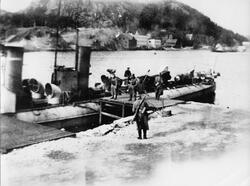 Torpedobåten "Skarv" med tysk vakt