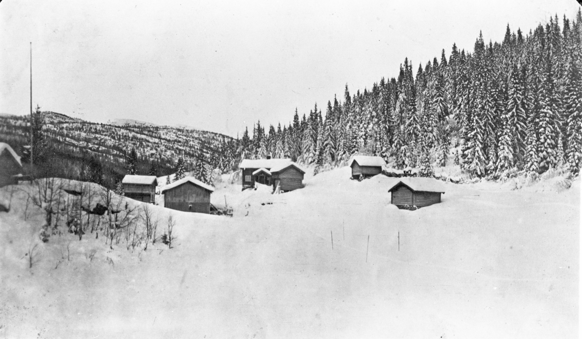 Tunet på Båsen i Eggedal, før 1915.