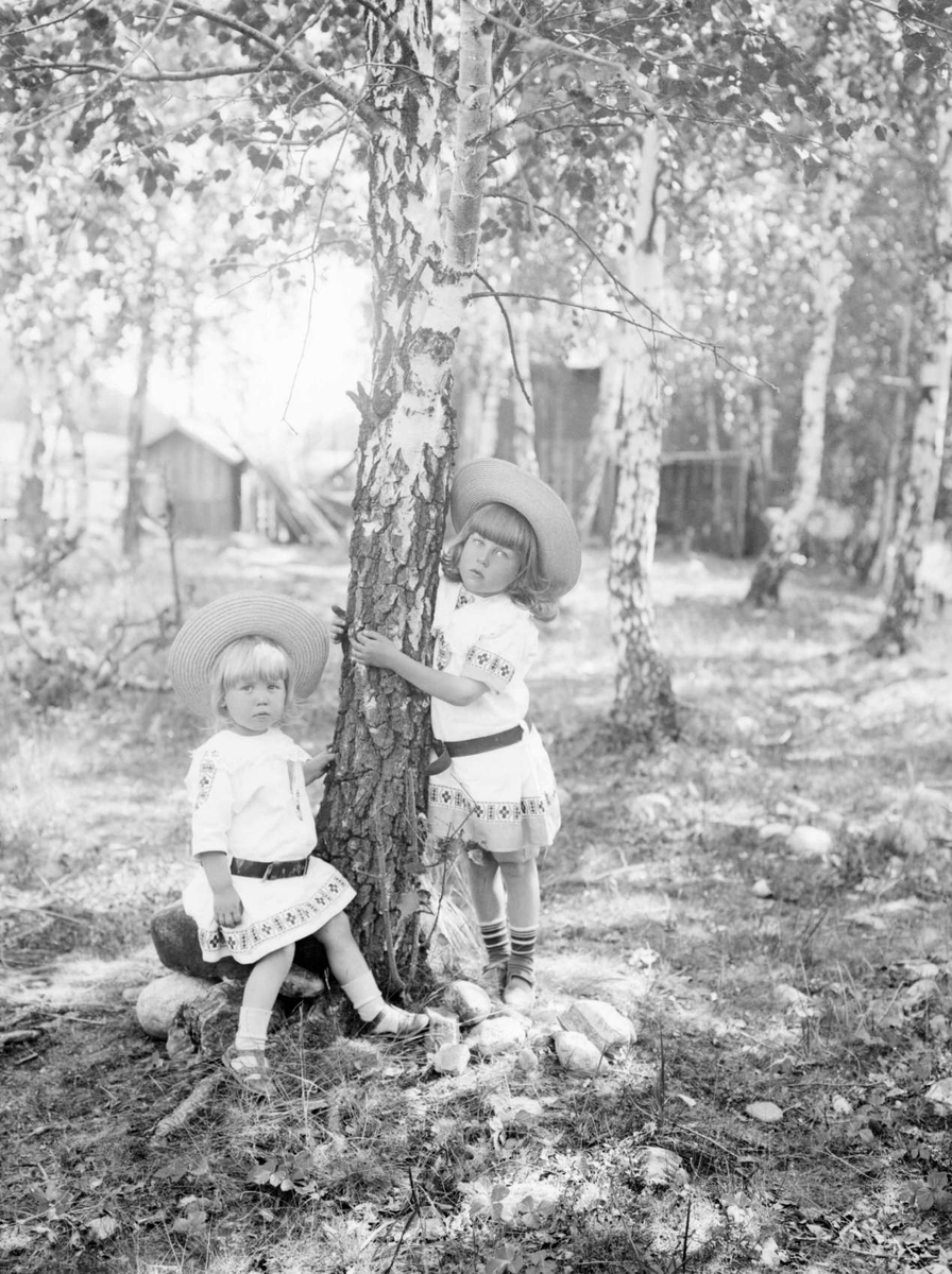 22.07.1907. Fru Lundebergs barn. Gruppebilde, jenter stående ved bjørketre.