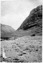 Fjellparti, høyde, ås, pass, dal