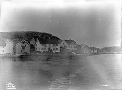 Prot: Svinør 29. Juli 1902