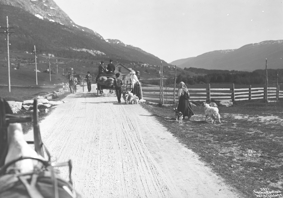 Folk går til byen med geitene. Fotografert i mars 1906.