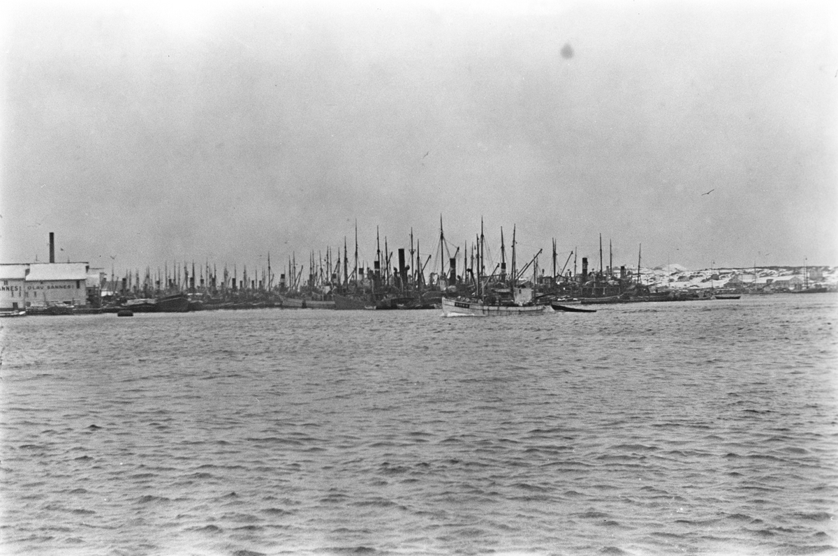 En armada av fiskeskøyter liggger til ankers og ved kai, antatt i påvente av at sildefiske starter.