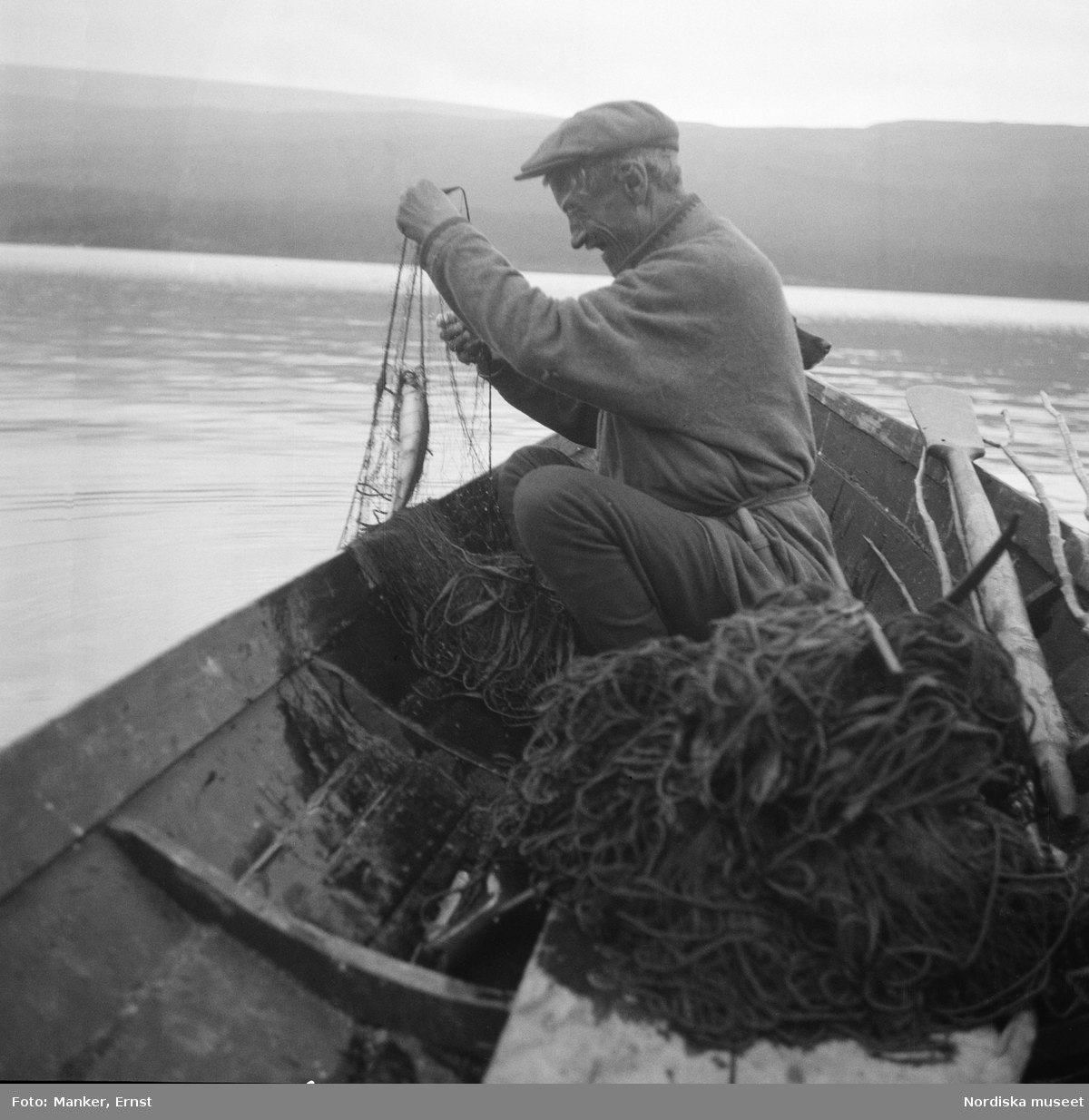 En man sitter i en eka och drar upp nät med fiskfångst. Byordningsmannen i Tuorpon sameby Nils Petter Persson Pavval på fisketur på sjön Parkajaur.