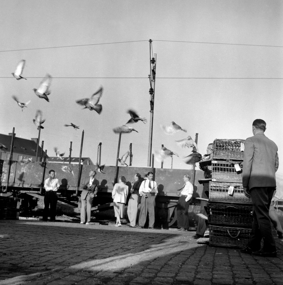 "Olympiaduvor" är allt fotografen noterade kring denna bild från 1953. Vi som långt senare i tid är satta att tolka har inget klart svar. Platsen där det hände var under alla omständigheter fraktgodscentralen invid Linköpings hamn.