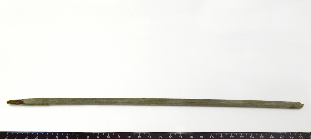 Distalende av pilskaft av tre som Farbregds type A1 (2009). Skaftet har et jevnt rundt tverrsnitt med delvis bevart skjeftespalte og avbrukket bakende. Skjeftespalten er avbrukket på den ene siden. Den bevarte siden er 1,7 cm lang, men er avbrukket i tuppen. Innsiden av den bevarte spalten er misfarget av rust. Rundt skjeftespalten og 4,3 cm fra fronten er det bevart spor av surring i form av bek og bedre bevart treverk. L.29,7 cm, t. 0,6 cm. Skaftet er vedartsbestemt som bjørk. Skaftypen kan dateres til 400-600 e.Kr. (Farbregd 2009).