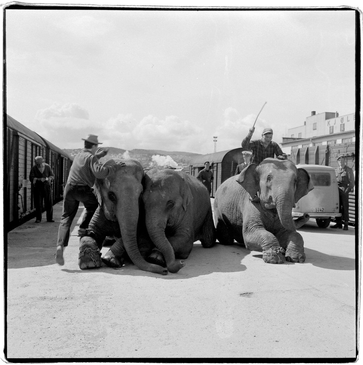 Sirkus Trolle Rhodins Zoo Cirkus i byen