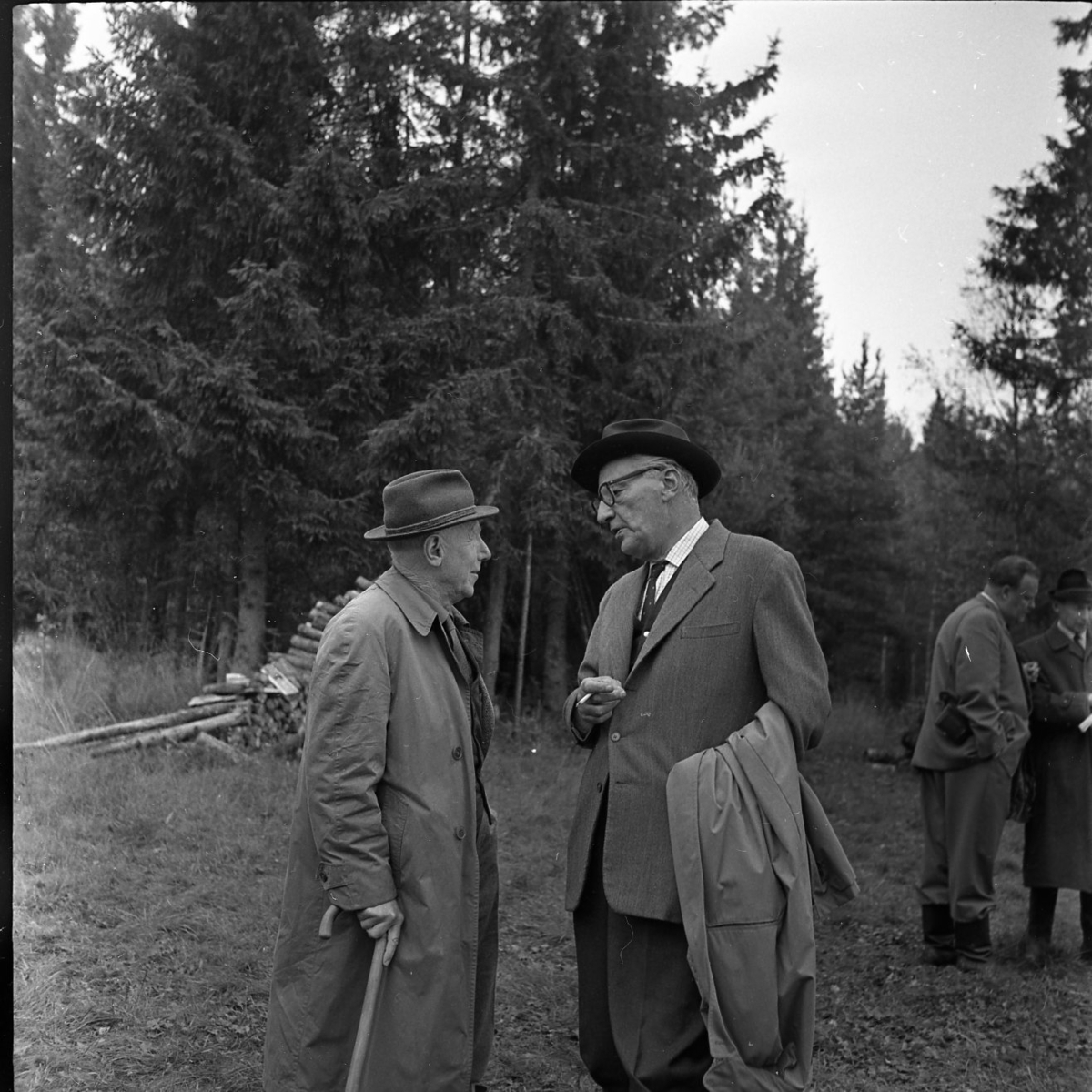 Skogsdag Örserums brunn 1961. Två män står och pratar med varandra. En man håller i en käpp och den andra i en cigarett. Bakom dem står höga tallar och på marken ligger fällda träd.