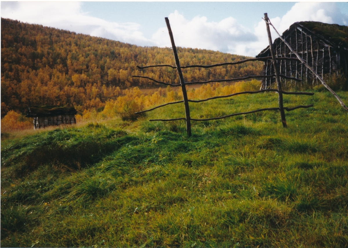 Hesje i Kaperdalen, Senja 1998