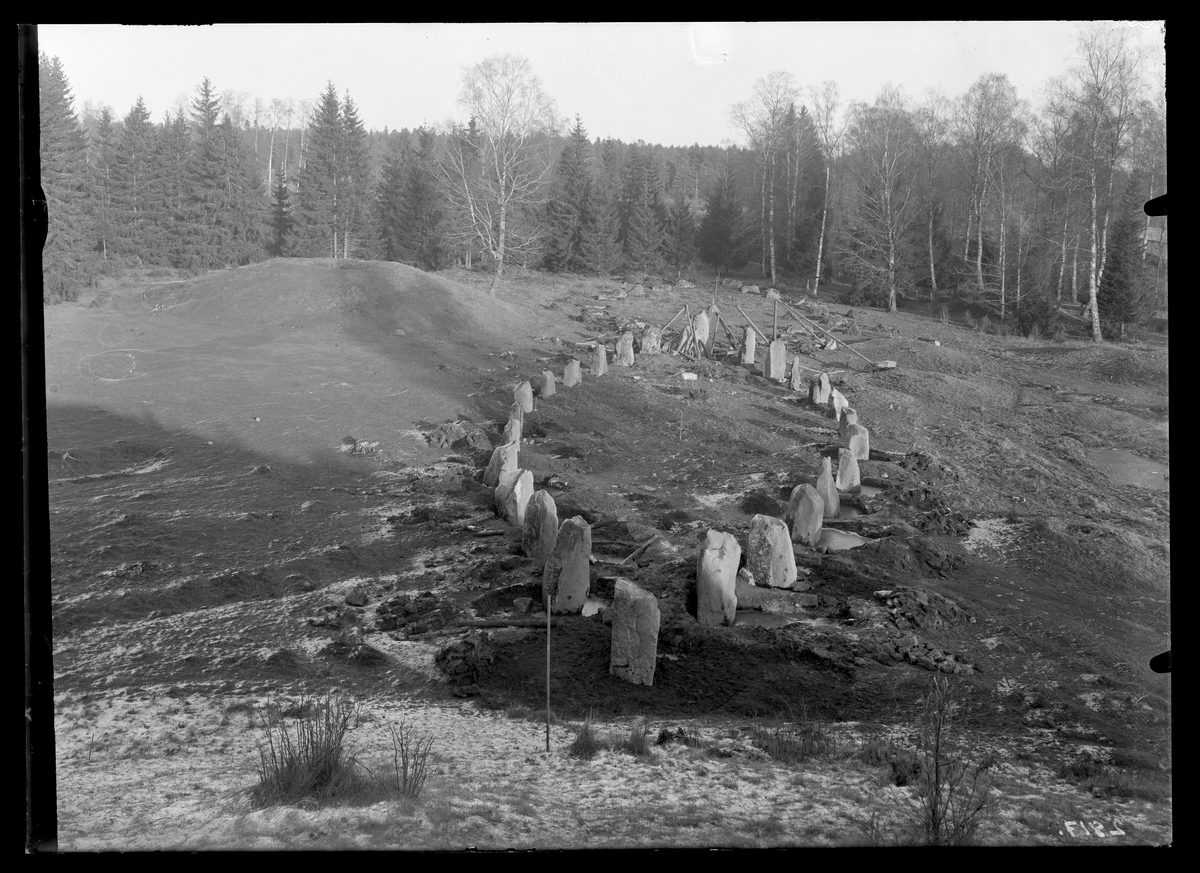 Badelunda sn, Anundshögsområdet. 
Långby. Skeppssättningarna I och II under restaureringen av I. 1932.