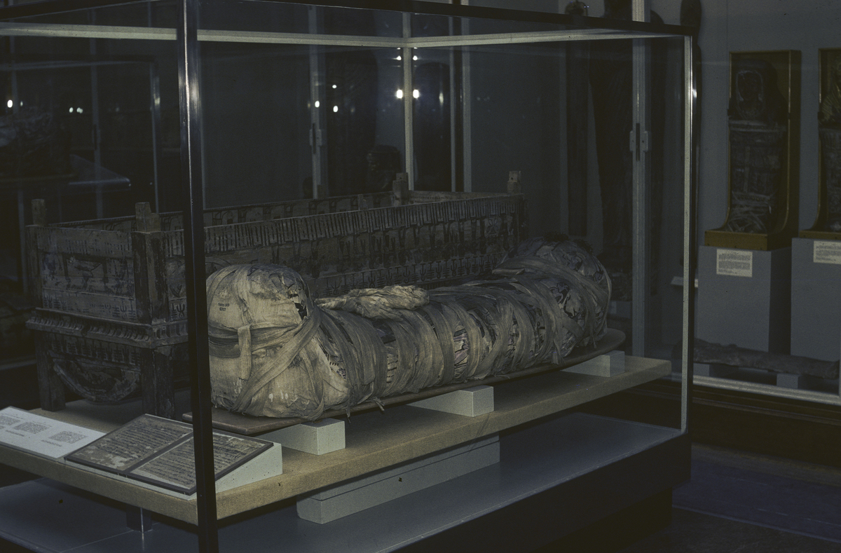Mumie og trekiste fra romersk jernalder. Mumien er datter av Cleopatra. Tidlig 2.hundreår etter kr. 