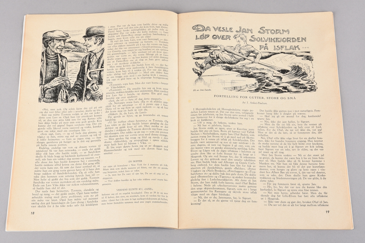 Julehefte frå 1956, med tittel "Julehygge" Heftet har tekstbidrag og illustrasjonar frå fleire personar. Tekstdelen er trykt i svart-kvitt, mens omslaget har ulike fargemotiv både på utsida og innsida.