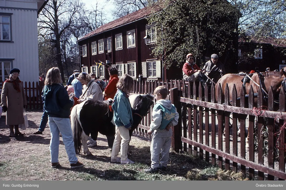 Ponnyridning och häst och vagn i Wadköping

Kusk Gunilla Blommé