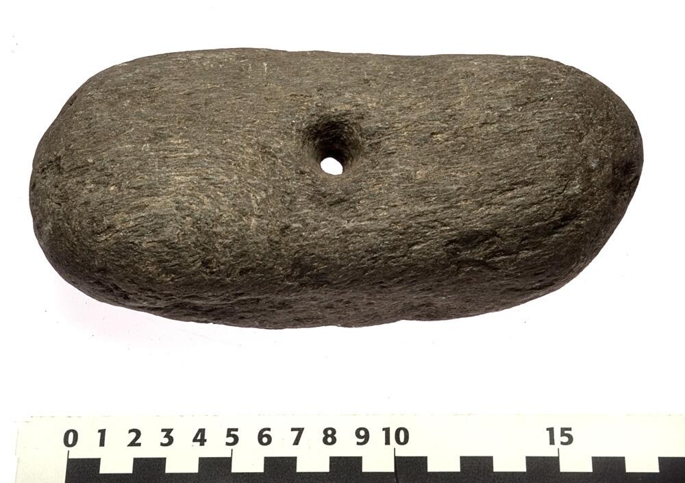 Nätsänke. Flat oval sten, av grå, lagrad bergart. Ungefär mitt på stenen litet bikoniskt hål. Böle by, Högsjö Socken, Ångermanland. 