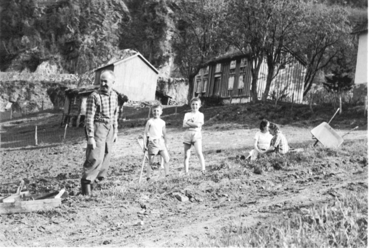 Barn og voksne i arbeid i åkeren i Balteskard, Skånland.