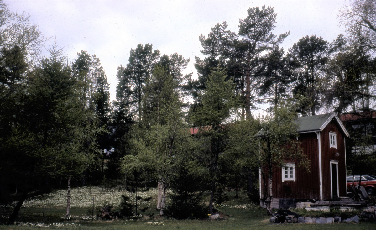 Hus på Sverresborg