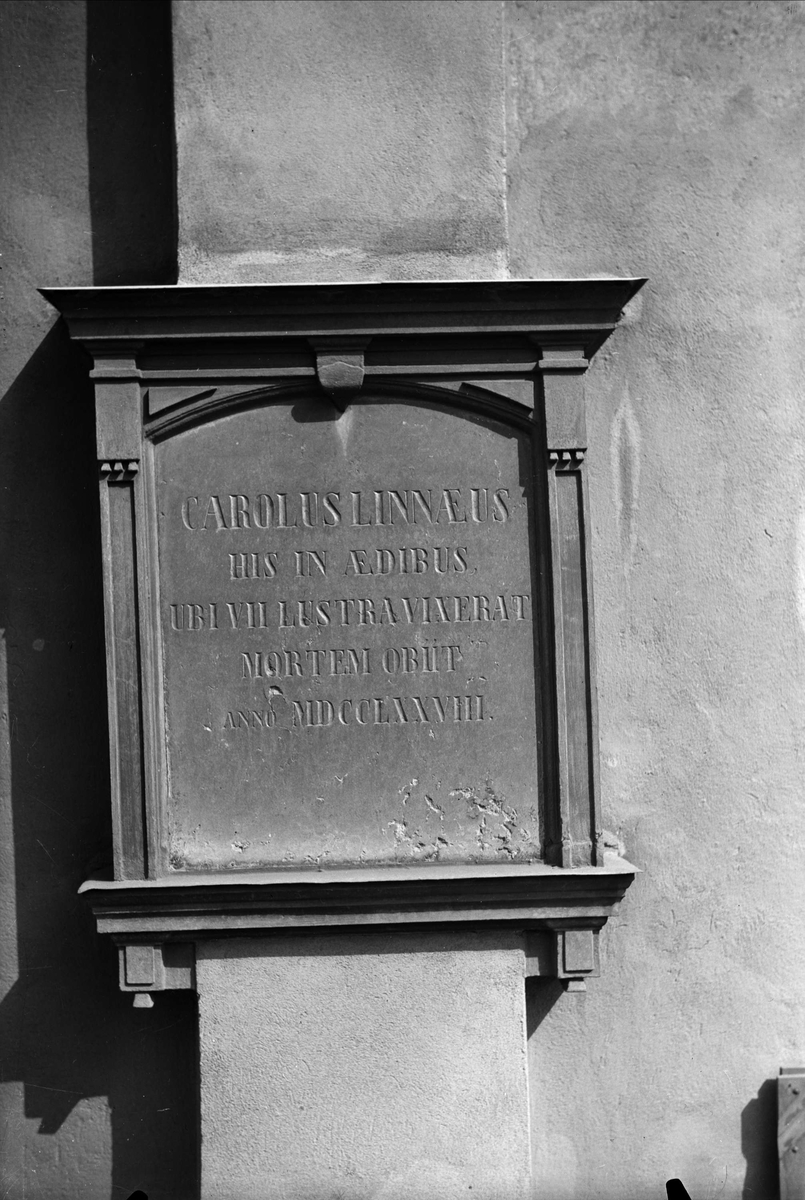 Minnestavla över Carl von Linné på Linnémuseet, Uppsala