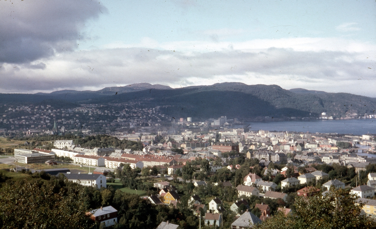 Utsikt fra Kuhaugen over Rosenborg og Møllenberg