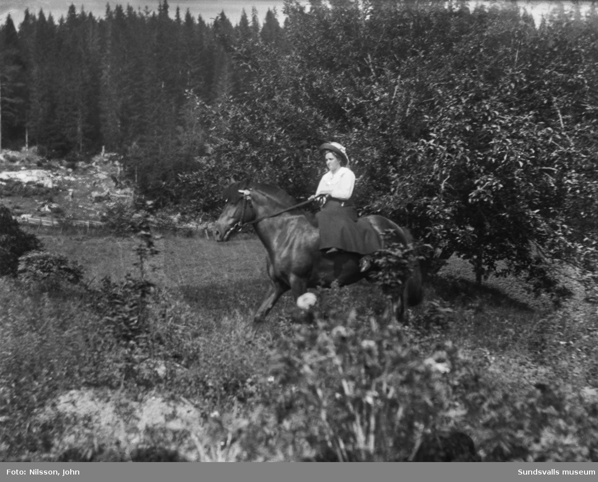 Två bilder med en ung kvinna som rider på en häst, troligen på Roken 1:3 i Laggarberg. Kvinnan, som är klädd i kjol, "sitter i damsadel" men utan sadel. På den första bilden syns även en del av ett uthus.