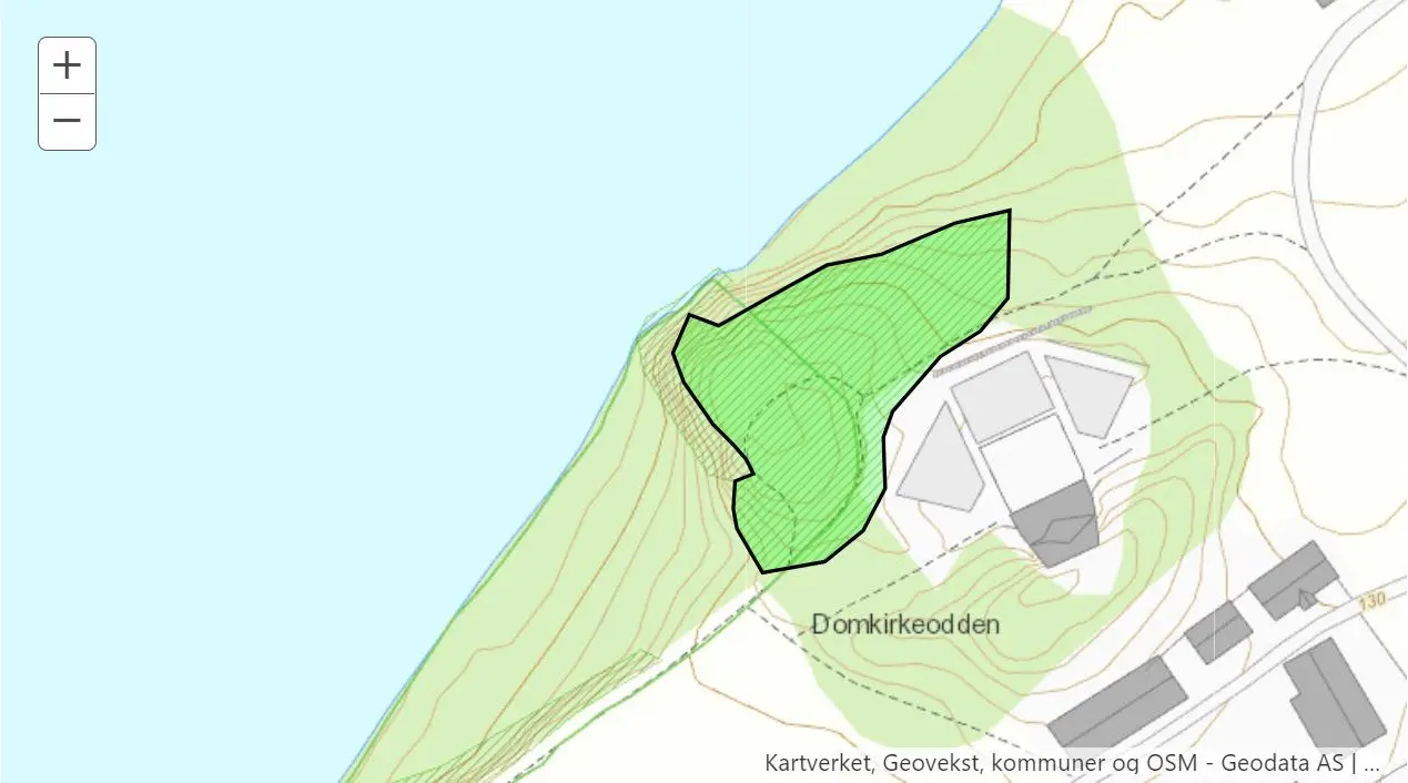 Kartutsnitt som viser området for slåttemark på Domkirkeodden; på høyden ved ruinen etter middelalderkastellet og ned på utescena.