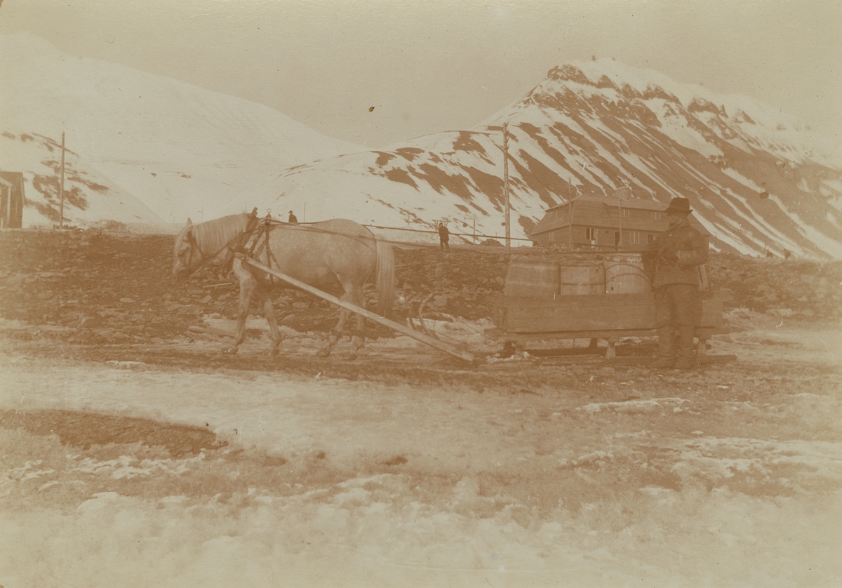Fotografi från expedition till Spetsbergen. Motiv från Sveagruvan med häst som drar en släde.
