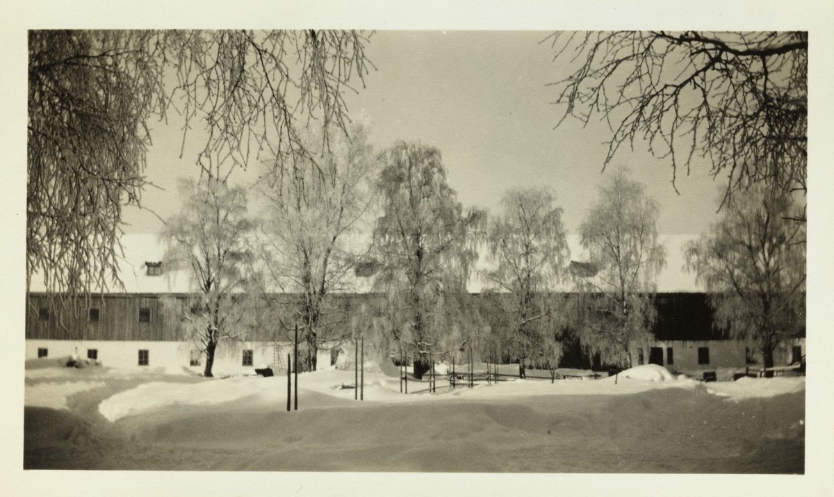 Driftsbygning på Store Bjerke gård, eid av familien Omsted, i Grue, Hedmark. Fotografert mars 1928.