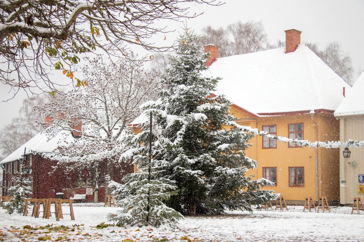 Julgran och snö på Kryddbodtorget. Julgransbelysning. Vinter i Friluftsmuseet Gamla Linköping år 2022.