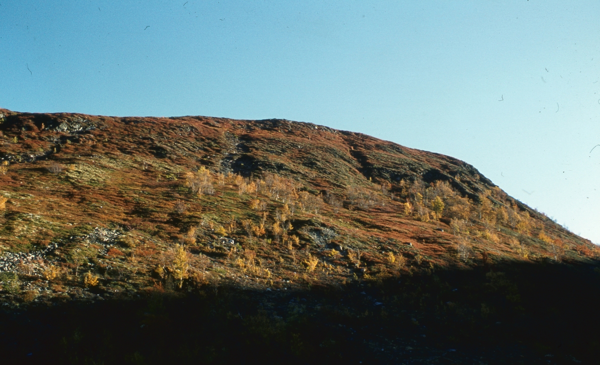 Grøtådalen, Tylldalen 1977